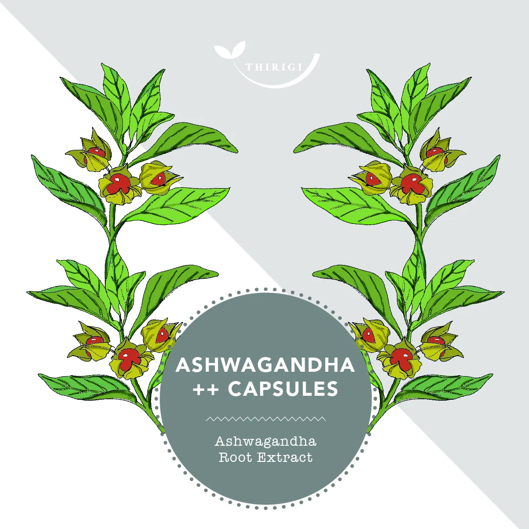 Ashwagandha ingredient graphic on a pale grey background