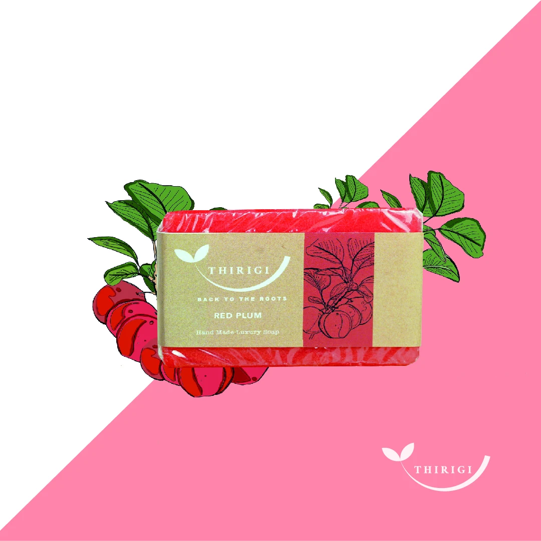 Red-plum soap packaging with illustrated fruit against pink and white
