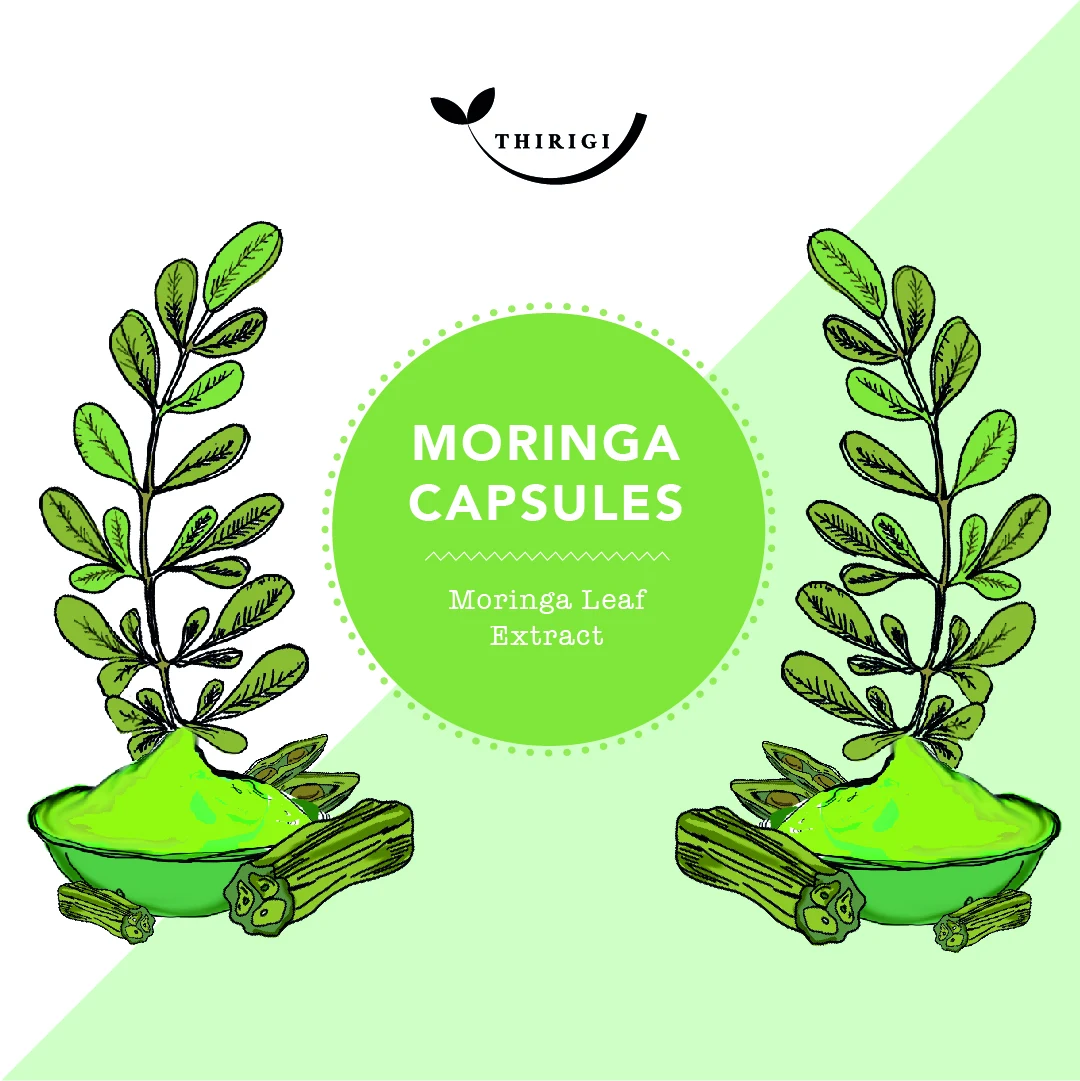 Green moringa ingredient graphic